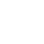 Precision Icon